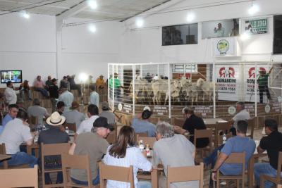 Leilão de Gado em Laranjeiras do Sul Reflete Qualidade e Confiança na Pecuária